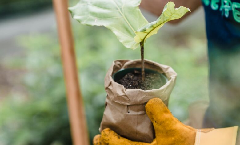 Sustainable Lifestyle: Living for Yourself and the Planet